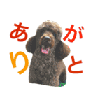ザイオン スタンプ 24 Ⅱ（個別スタンプ：16）