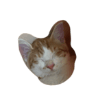 ナツとちくわ（個別スタンプ：3）