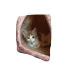 ナツとちくわ（個別スタンプ：7）