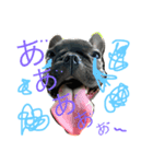関西ボブ物語（個別スタンプ：1）