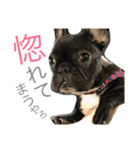 関西ボブ物語（個別スタンプ：6）
