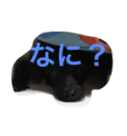 Vega*life（個別スタンプ：8）