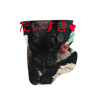 Vega*life（個別スタンプ：10）