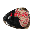 Vega*life（個別スタンプ：14）