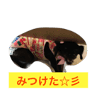 Vega*life（個別スタンプ：24）