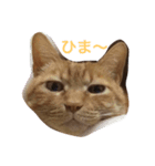 龍くん（個別スタンプ：6）