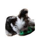 ラブ  クッキー（個別スタンプ：6）
