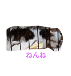 ラブ  クッキー（個別スタンプ：8）