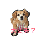 話すよ^_−☆るんちゃん（個別スタンプ：4）