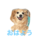 話すよ^_−☆るんちゃん（個別スタンプ：7）