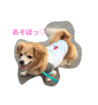 話すよ^_−☆るんちゃん（個別スタンプ：8）