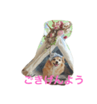 話すよ^_−☆るんちゃん（個別スタンプ：9）