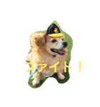 話すよ^_−☆るんちゃん（個別スタンプ：13）