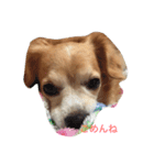 話すよ^_−☆るんちゃん（個別スタンプ：15）