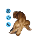 キャバず（個別スタンプ：4）