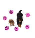キャバず（個別スタンプ：5）