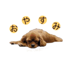 キャバず（個別スタンプ：10）
