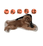 キャバず（個別スタンプ：13）