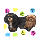 キャバず（個別スタンプ：22）