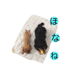 キャバず（個別スタンプ：36）
