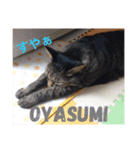 ふだんのらっく（個別スタンプ：3）