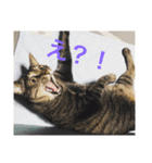 ふだんのらっく（個別スタンプ：4）