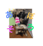ふだんのらっく（個別スタンプ：6）