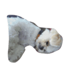 dog_dog_dog！（個別スタンプ：3）