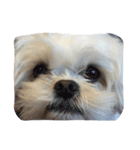 dog_dog_dog！（個別スタンプ：5）