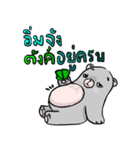 'Mee' The sleepy bear（個別スタンプ：24）