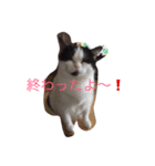 トム＆リリ（個別スタンプ：2）
