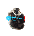 トム＆リリ（個別スタンプ：4）