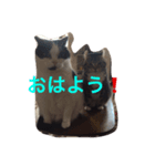 トム＆リリ（個別スタンプ：7）