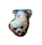 こんにちは(・∀・)ノ（個別スタンプ：7）
