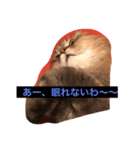 マカロンの気持ち（個別スタンプ：1）
