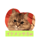 マカロンの気持ち（個別スタンプ：2）