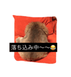 マカロンの気持ち（個別スタンプ：8）
