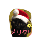 chachapoko（個別スタンプ：2）