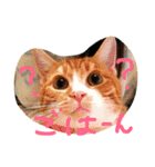 chachapoko（個別スタンプ：10）