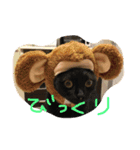 chachapoko（個別スタンプ：13）