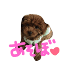 ばんちゃん⓵（個別スタンプ：6）
