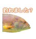 沖縄お魚4（個別スタンプ：6）