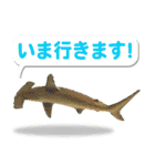 沖縄お魚4（個別スタンプ：8）