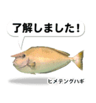 沖縄お魚4（個別スタンプ：20）
