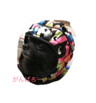 I love johnny.（個別スタンプ：4）