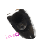 I love johnny.（個別スタンプ：6）