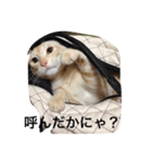 うちのみにら（個別スタンプ：3）