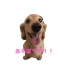 関西弁のチョコくん（個別スタンプ：3）