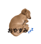 関西弁のチョコくん（個別スタンプ：6）