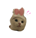 レオちゃんの毎日（個別スタンプ：3）